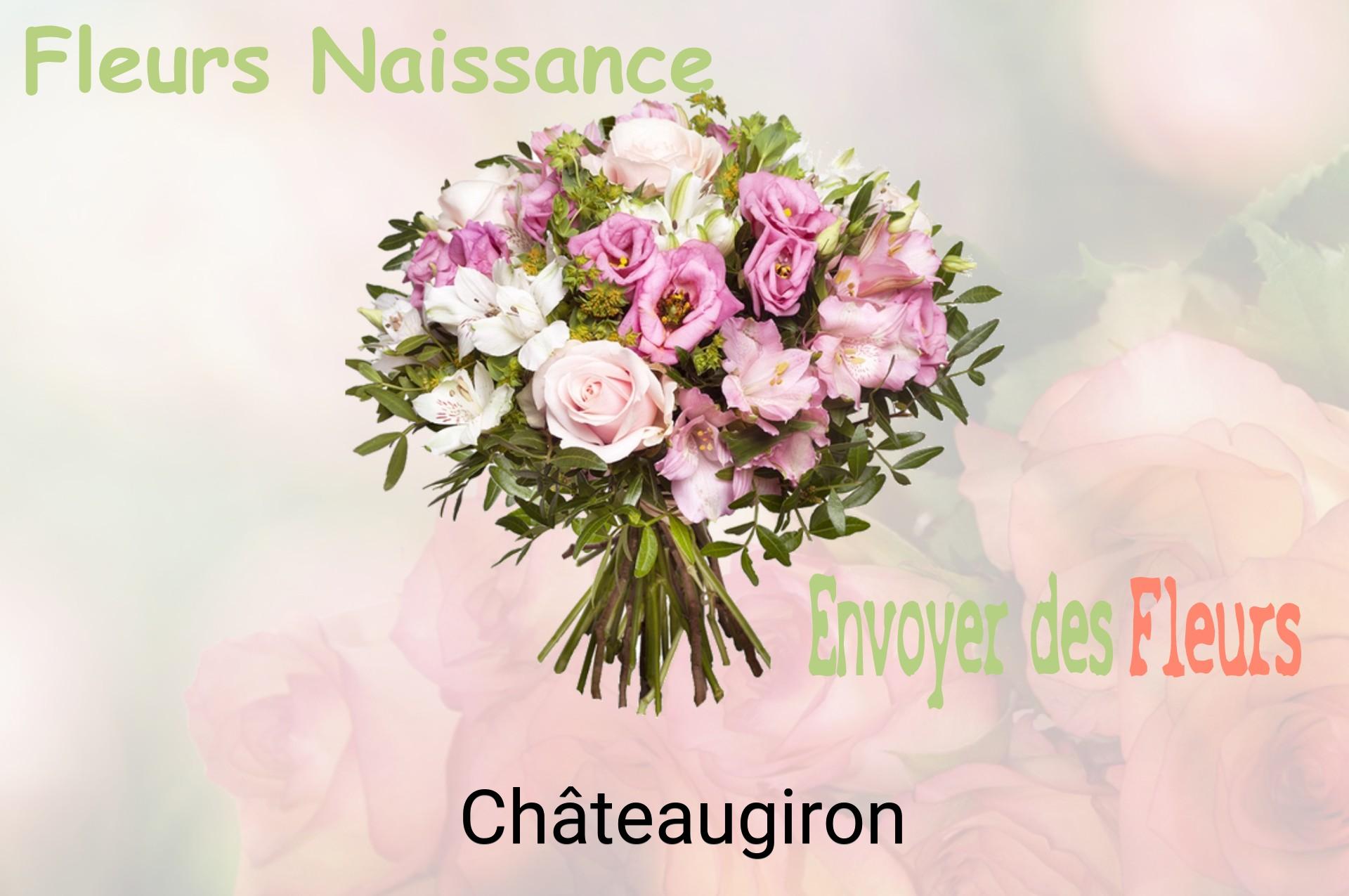Bouquet de fleurs de naissance livré à Châteaugiron